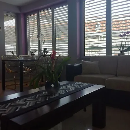 Apartment Natasa 1 *